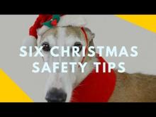 Embedded thumbnail for Six Safety Tips for the Holiday Season