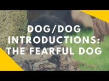 Embedded thumbnail for Fearful Dog Introductions