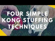 Embedded thumbnail for Four Simple Ways to Stuff A Kong So It Lasts