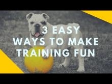 Embedded thumbnail for Three Easy Ways to Make Training Fun