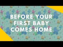 Embedded thumbnail for Preparing Your Dog Before Your First Baby Arrives