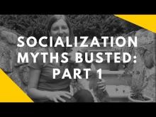 Embedded thumbnail for Socialization Myths: Part 1