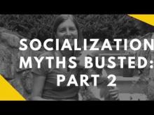 Embedded thumbnail for Socialization Myths: Part 2