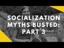 Embedded thumbnail for Socialization Myths Busted: Part 3