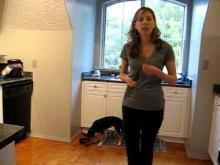Embedded thumbnail for The Puppy Project Lesson 13: Food Bowl Exercises - Approaching the Bowl (Part 1)