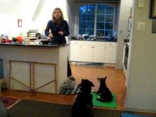 Embedded thumbnail for The Puppy Project Lesson 12: Managing Multiple Dogs at Feeding Time (aka Minimizing Chaos!)